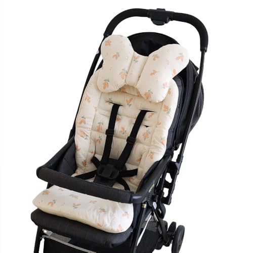 vbpv[| xr[J[V[g NbV yVjbgz 100%02~U×AC{[