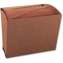 1InTheOffice Expanding File Folder 31 Sections, Accordion File Organizer, Numerical Open Top Pocket Expanding File Folder, Letter Size