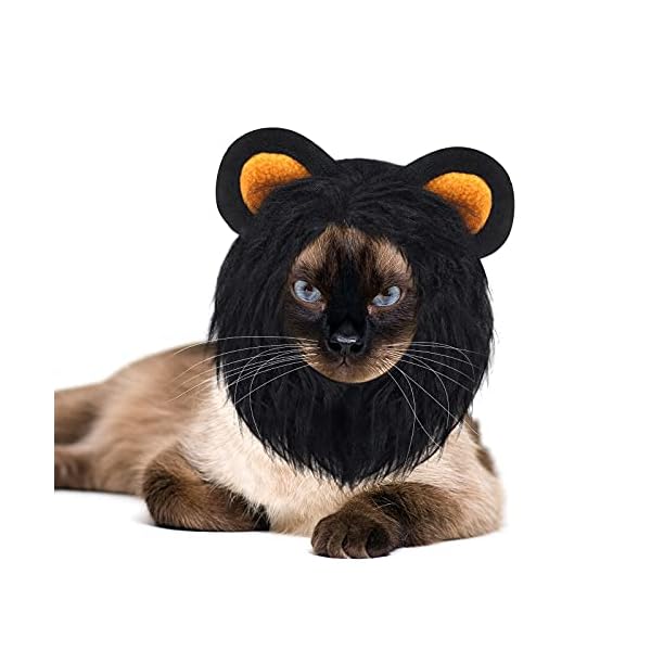 5 pieces cat hat cat dog costume cute pet hat bunny rabbit hat with ears headwear lion mane cap valentine new years day party accessory for kitten puppy dress up adjustable birthday hat (cute style) - image 5