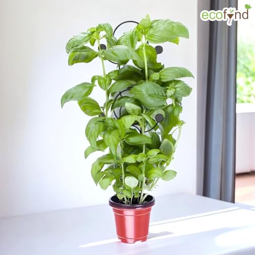 Image of Ecofynd 16 Inch Trellis for Climbing Plants, Outdoor & Indoor Use, Supports Vegetables, Vines, Flowers (1 Pack, BLK, TR016)