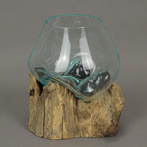 Melted Glass On Teak Driftwood Decorative Bowl/Vase/Terrarium Planter 6 Inches High #TOP3