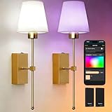 Supleap Wireless Smart Wall Lamp (2-Pack) -Works with Apple/Alexa/Samsung/Google, 10,000mAh Battery, Long Lifespan, Voice/Remote Control Needs Smart Speaker