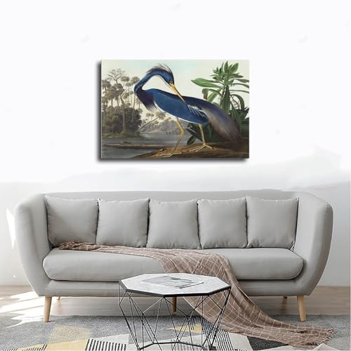 Cadre à suspendre Héron de Louisiane Audubon - Tableau sans reflets
