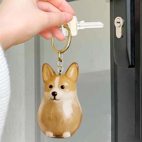Schlüsselanhänger Hundehaar Aufbewahrungsflasche, Transparente Hunde Erinnerungsbox, Schlüsselanhänger Hundehaar Aufbewahrungsflasche, Erinnerungsbox Hundeliebhaber, für Geschenk Hundeliebhaber
