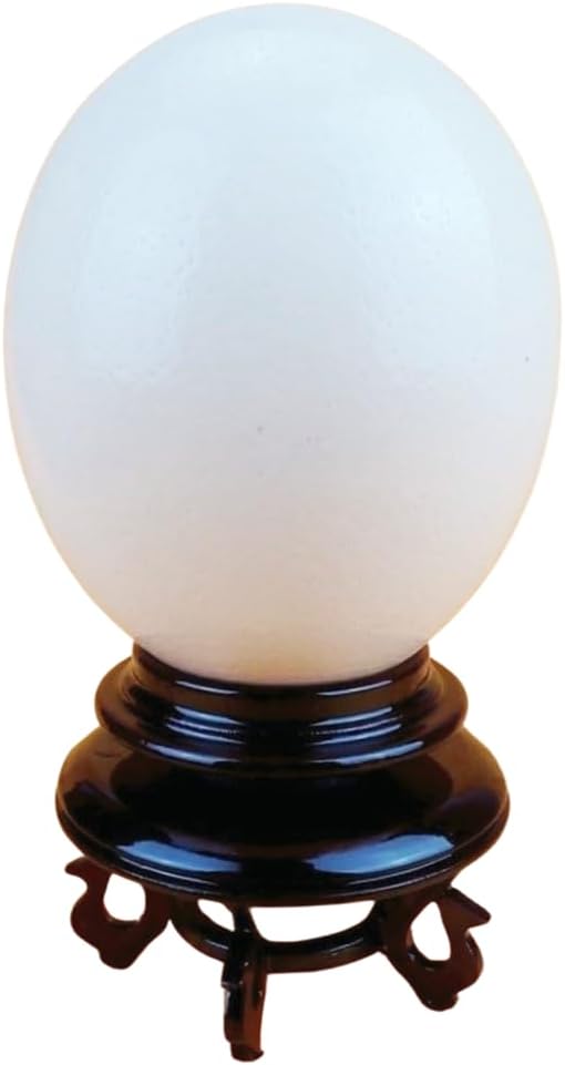 Display Stand for Ostrich Egg, Crystal Ball Holder, Decorative Pedestal Base