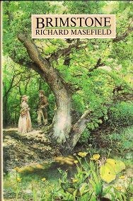 Paperback Brimstone Book