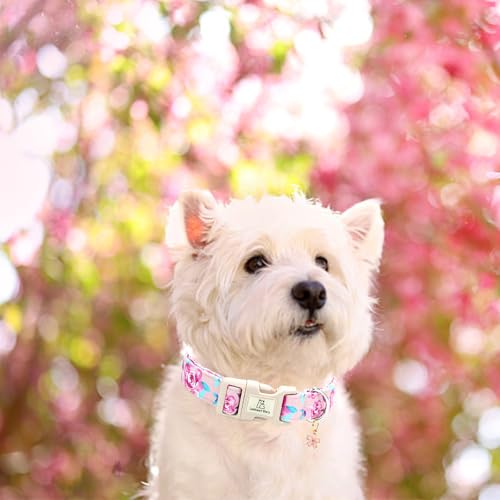 Lionheart glory Dog Collar Ducky Floral Cute Collar for Large Dogs Spring Summer Female or Male Collars Pets Gift Adjustable Heavy-Duty Pet Collars by Lionheart glory - Image 5