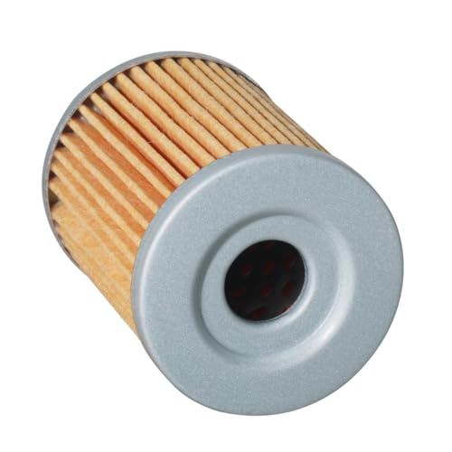 Filtre anti-impuretés pour AN400 et DR125 pour stopper l'usure moteur
