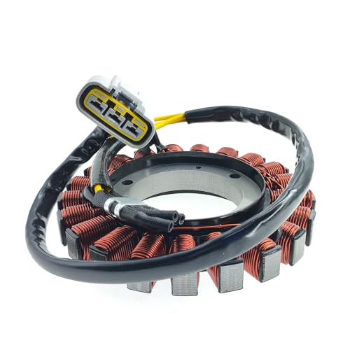Bobine d'allumage stator pour BMW R 1200 GS ADV K51 en roadtrip