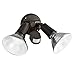 Brinks 7120B 110-Degree Motion Par Security Light