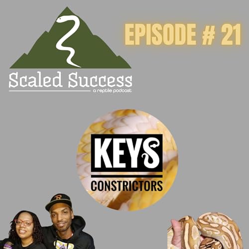 #21 Keys Constrictors: Breeding Ball Pythons, Starting a YouTube Channel & Growing Together!