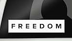 Freedom, RIP Charlie Kirk Bumper Sticker, Fly High Charlie Decal Vinyl Sticker Auto Car Truck Wall Laptop White, H 2.5 by L 9 Inches