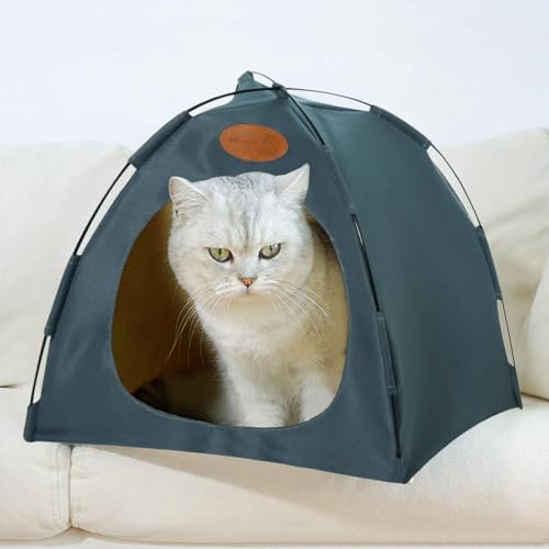 Mascotas, Pet Products Imagen adicional