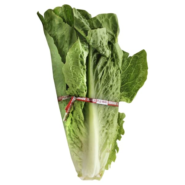 The Save Mart Company, Lettuce Romaine