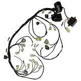 Caltric Wiring Harness Compatible with Honda Rincon 650 TRX650FA TRX650FGA 2003-2005