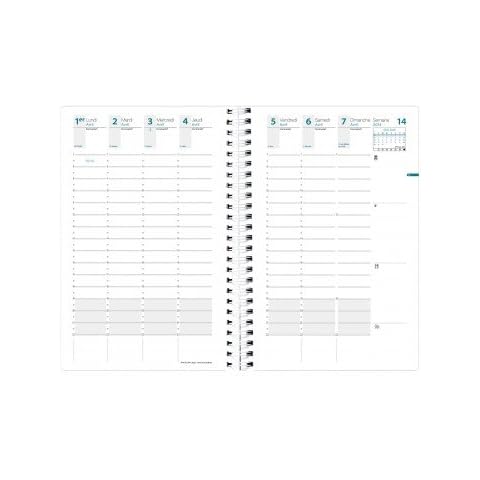 Quo Vadis 2025 Large Weekly Planner thumbnail