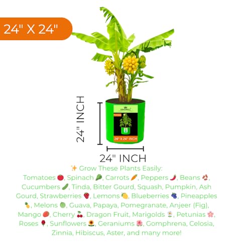 Image of Kingwell grow bags 24X24 inch pack of 5 For Terrace Garden Vegetable Plant Grow Bags Fruits Growing Containers For terrece Gardening
