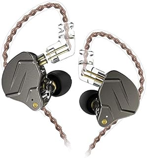 erjigo KZ ZSN Pro Dynamic Hybrid Dual Driver in Ear Earphones Detachable Tangle-Free Cable Musicians in-Ear Earbuds Headphones (Gray Without Mic)