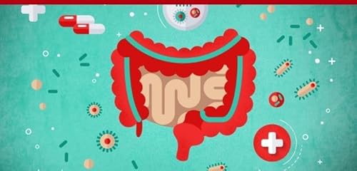 491: Functional Medicine, Probiotics and Gut Health with Dr. Michael Ruscio Podcast Por  arte de portada