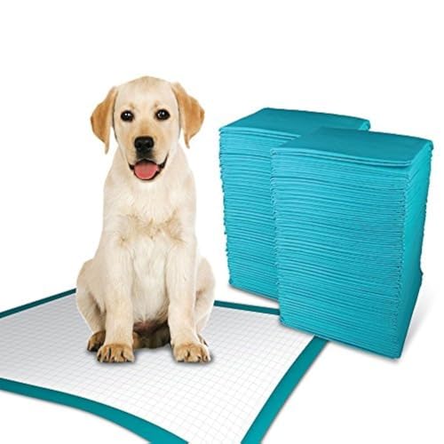 TBM Puppy Pads Large Size Pack of 50 60 x 60 Super Absorbent