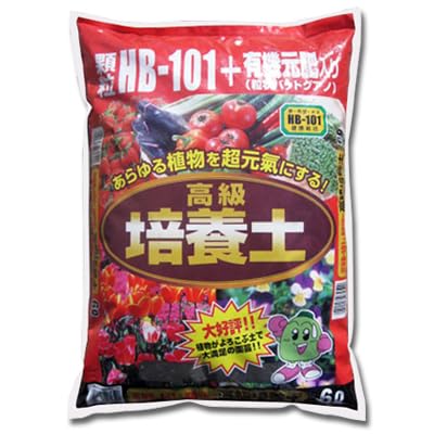 �������Y �����g�a-�P�O�P�{�L�@���� �o�b�g�O�A�m���� �����|�{�y �U�k �R��