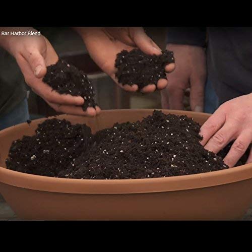 Coast Of Maine Omri Listed Bar Harbor Blend Organic Compost Potting Soil Blend For Container Gardens And Flower Pots, 8 Quart Bag #TOP2