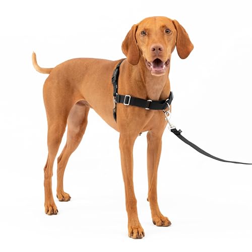 Petsafe - Imbracatura anti-trazione Easy Walk - M - Nera