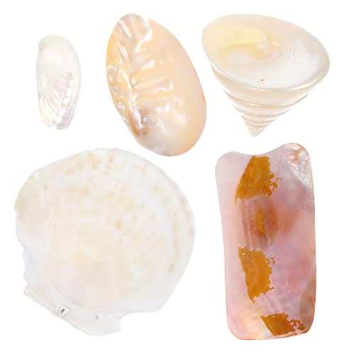 FUNOMOCYA 5 Piezas Accesorios de Tiro Home Decor decoração Room Decor caracola decoración Creativa de Conchas decoración de Concha decoración de Accesorios para Fotos Conchas Naturales
