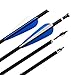 REEGOX Crossbow Bolts 16/18/20 inch Bio Crossbow Arrows with Moon Nocks and Removable Tips (Pack of 12) (20