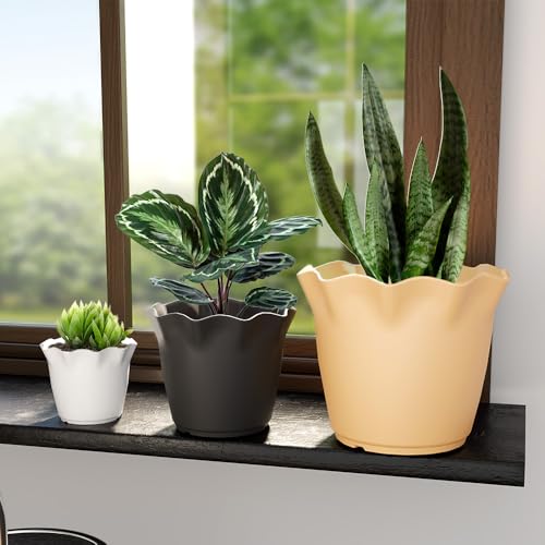 Image of YUCCABE ITALIA SHERA 8 Inch Plastic Flower Pot 3 Piece Set of Unbreakable Round Shape Planter for Home Garden Seedling, Indoor and Outdoor (Multicolor)