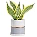 Ekirlin Ceramic Plant Pots with Tray for Succulents,Cactus,Flower,Plant Container with Hole,Cylinder Flower Pots for Desktop,Home,Indoor Decoration (4.6 inch, Gray)