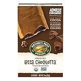 Nature's Path Organic Frosted Lotta Chocolotta Toaster Pastries, 11 oz (Pack of 1), Non-GMO