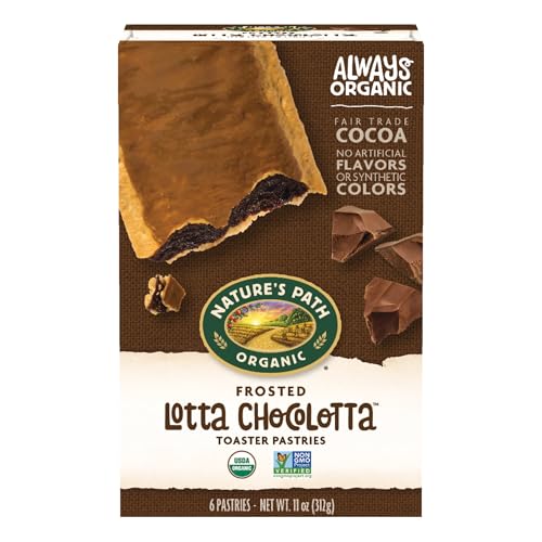 Nature's Path Organic Frosted Lotta Chocolotta Toaster Pastries, 11 oz (Pack of 1), Non-GMO