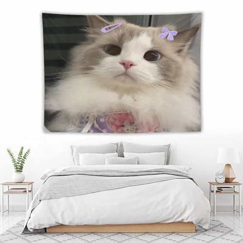 Tenture murale chat à impression 3D relief grand tapis esthétique