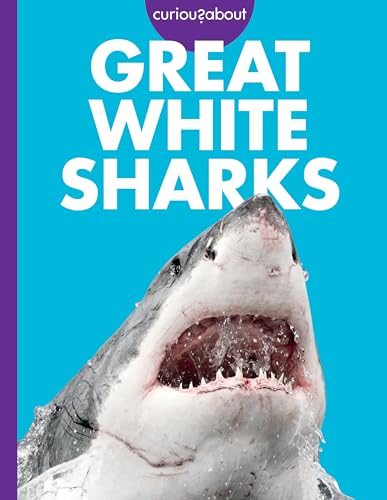 Curious about Great White Sharks (Curious about Sharks)
