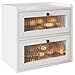 Alpeir Double Layer Large Bread Box for Kitchen Countertop, Ventilation Hole Keep Freshness Longer, Vintage Wooden Breadbox Storage Container with Window for Homemade Bread, White