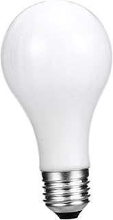 TOYANDONA Props Light Toy Magical Tricks Lamp Funny Magical Trick Toy Cars Toy Uncle Fester Light Bulb Magical Trick Props LED Bulbs Magical Bulb Funny Magical Tricks Light Gift White