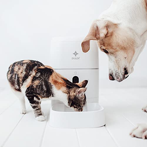 Nutri Alimentador PRO Com Câmera Full HD EKAZA T121, Branco