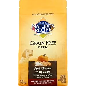 Nature′s Recipe Grain Free Pet Hen, Candy Potato & Pumpkin Recipe Dry Canine Meals, 4 lb. Bag Nature′s Recipe Grain Free Pet Hen, Candy Potato & Pumpkin Recipe Dry Canine Meals, 4 lb. Bag