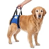 Nature Pet © - Tragehilfe Hund hinten - Verstellbarer Hunde Tragegurt als Treppenhilfe - Ideal für ältere, kranke oder operierte Vierbeiner - Praktische Unterstützung für Mobilität (L, Blau)