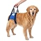 Tragehilfe für Hunde von Nature Pet – Verstellbarer Tragegurt für Hinterhand