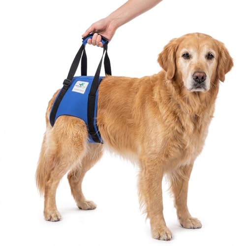 NATURE PET Hunde Tragehilfe hinten/Hunde Gehhilfe/Hunde Rehahilfe, das Hilfsgeschirr für Probleme an der Wirbelsäule, der Hüfte und den Knien ihres Hundes. (S)