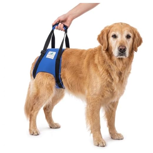 Nature Pet Hunde Tragehilfe M/Hunde Gehhilfe/Hunde Rehahilfe, das Hilfsgeschirr für Probleme an der Wirbelsäule, der Hüfte und den Knien ihres Hundes.
