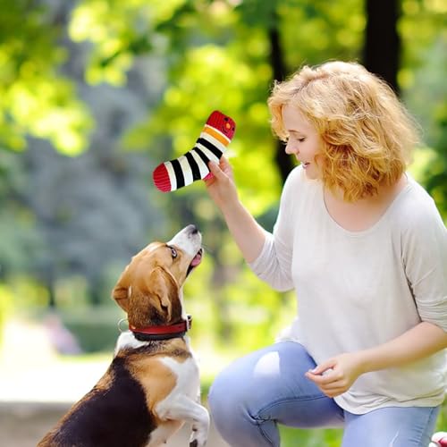 Kauspielzeug für Hunde, bissfest, quietschend, Reinigungsspielzeug für kleine Rassen, Outdoor, Innenbereich, Park, Spaziergänge, Strand, Rasen, Garten, Hinterhof-2