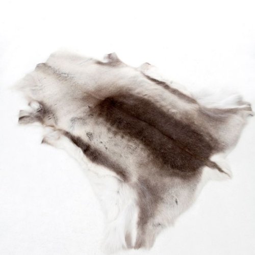 Reindeer Hide Rug