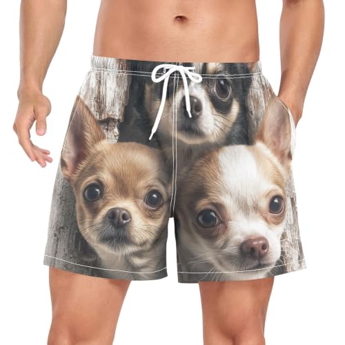 Bañador chihuahua hombre de secado rápido con cintura elástica