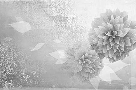 Amazon 黒と白 アート印刷 キャンバス壁紙 ベクタ画像 花 花びら つぼみ ピンク 部屋飾り背景絵画 キャンバス写真 壁紙ポスター はがせるシール式 写真 絵画 壁飾り 60cmx40cm ウォールステッカー オンライン通販