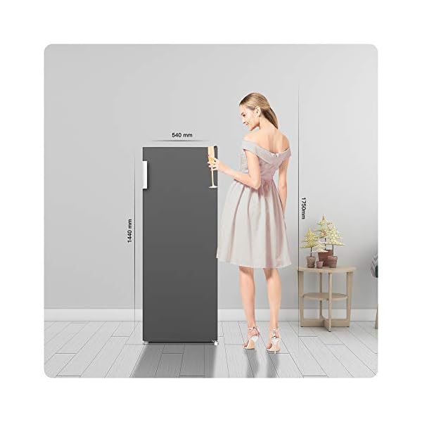 CHiQ Tiefkühlschrank 166 L | Gefrierschrank mit Dynamic Cooling-Funktion | Wechselbarer Türanschlag | Schwarzer Edelstahl | 144cm Höhe| 12 Jahre Garantie auf den Kompressor – Bild 5