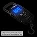 South Bend Digital Hanging Fishing Scale and Tape Measure with Backlit LCD Display, 110lb/50kg Weight Capacity (Batteries Included)