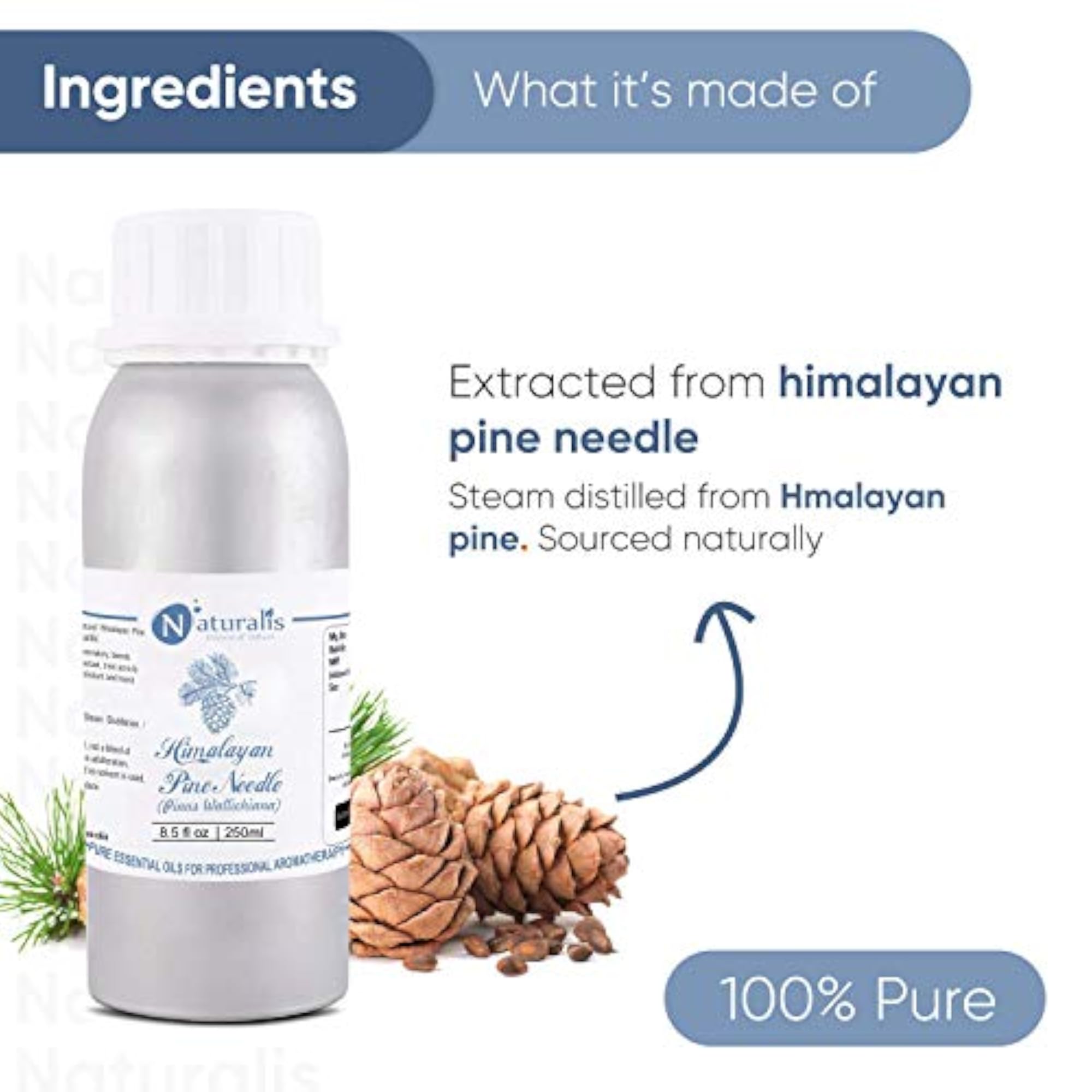 Naturalis Himalayan Pine Needle Essential Oil for Relaxation